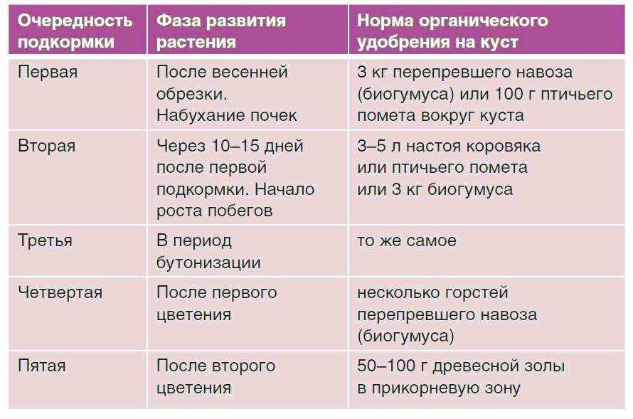 Чем подкормить розы осенью: перед укрытием, названия удобрений, можно ли удобрять в сентябре в подмосковье, когда подкармливать последний раз