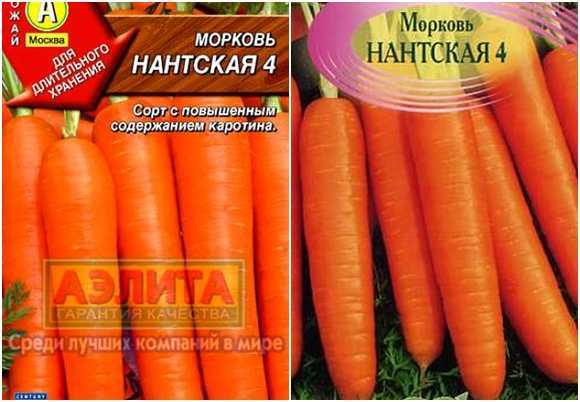 Сортотипы моркови