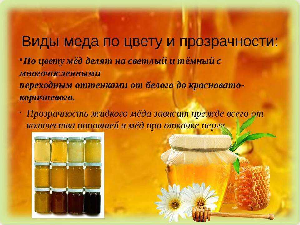 Как проверить мёд на натуральность в домашних условиях и выбрать качественный