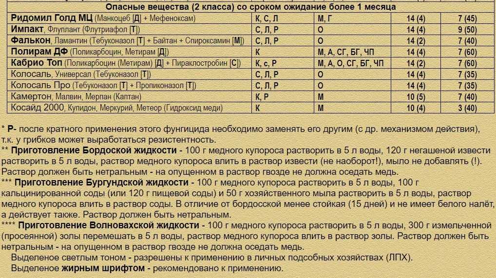 Эффективный фунгицид ридомил голд для томатов, винограда и других культур