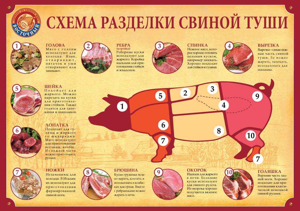 Забой свиней: как зарезать и переработать в домашних условиях