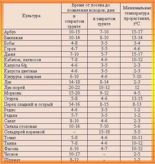 Как сажать кабачки: все секреты и хитрости посадки