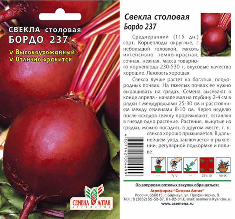 Лучшие сорта свеклы для открытого грунта, для хранения на зиму 2021 года. для средней полосы россии, для сибири и подмосковья