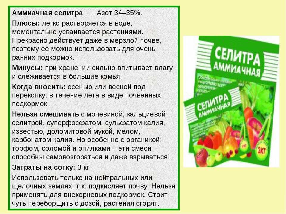 Кальциевая селитра: состав, свойства, инструкция по применению для растений, отзывы, нормы расхода, как приготовить раствор для удобрения