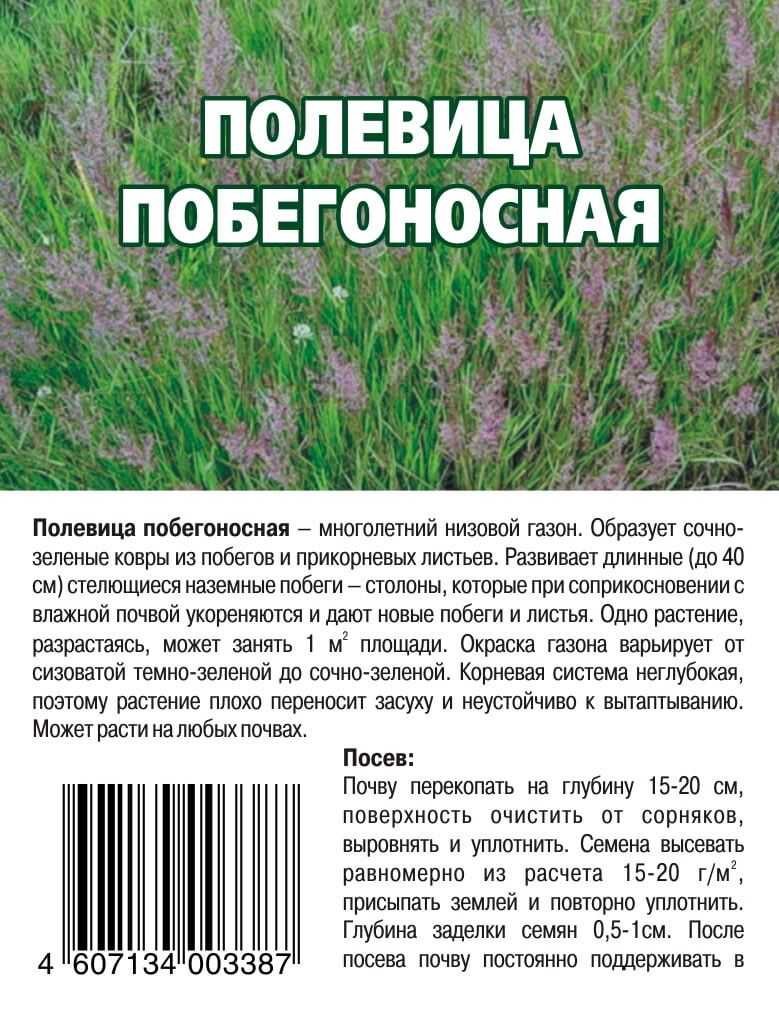 Полевица побегоносная: посев и уход- плюсы и минусы +фото и видео