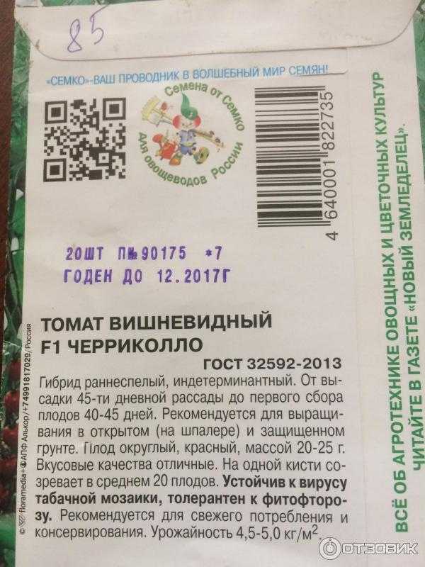 Не требовательный гибрид для открытого грунта — томат семко 2010: характеристики сорта и описание, отзывы об урожайности