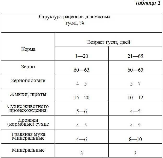 Чем кормить гусят: правила составления рациона в домашних условиях