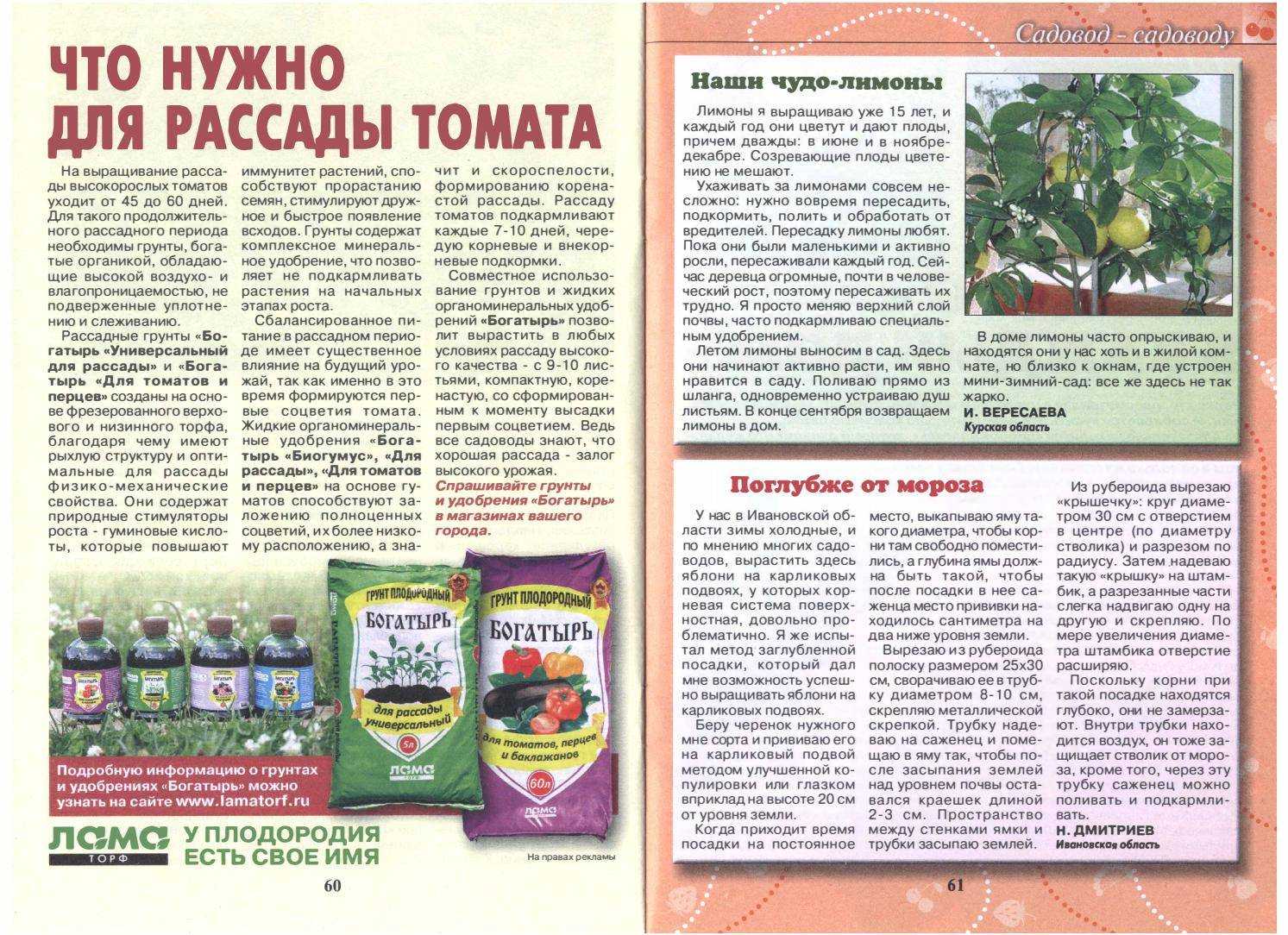 О почве для помидор: кислая или щелочная, какой грунт любит рассада томатов