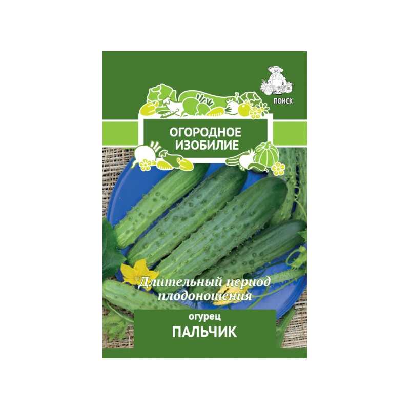 Огурец пальчик: характеристика и описание гибридного сорта с фото
