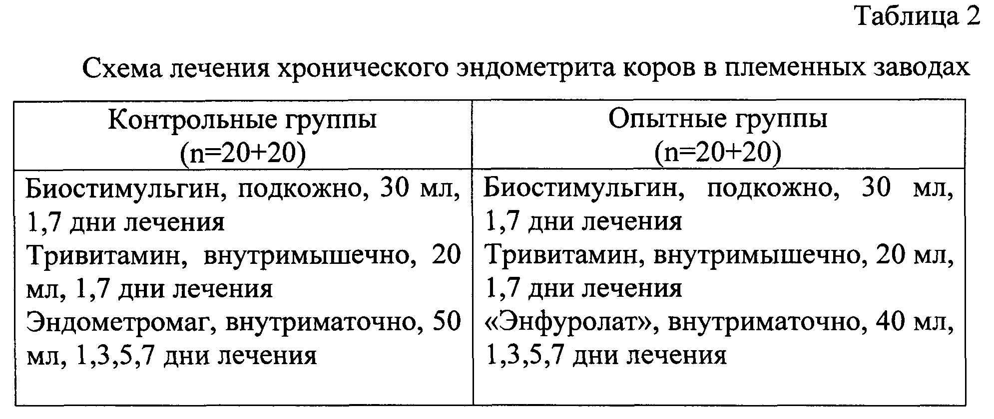 Абсцесс у коровы: симптомы и лечение
