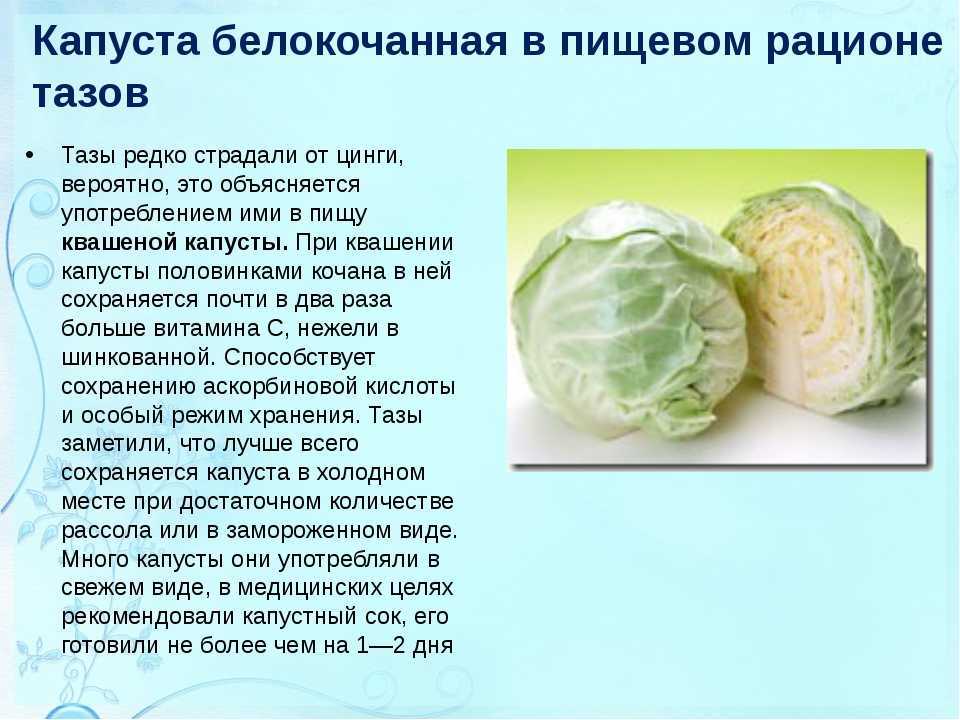 Рассада капусты сильно вытянулась: что делать