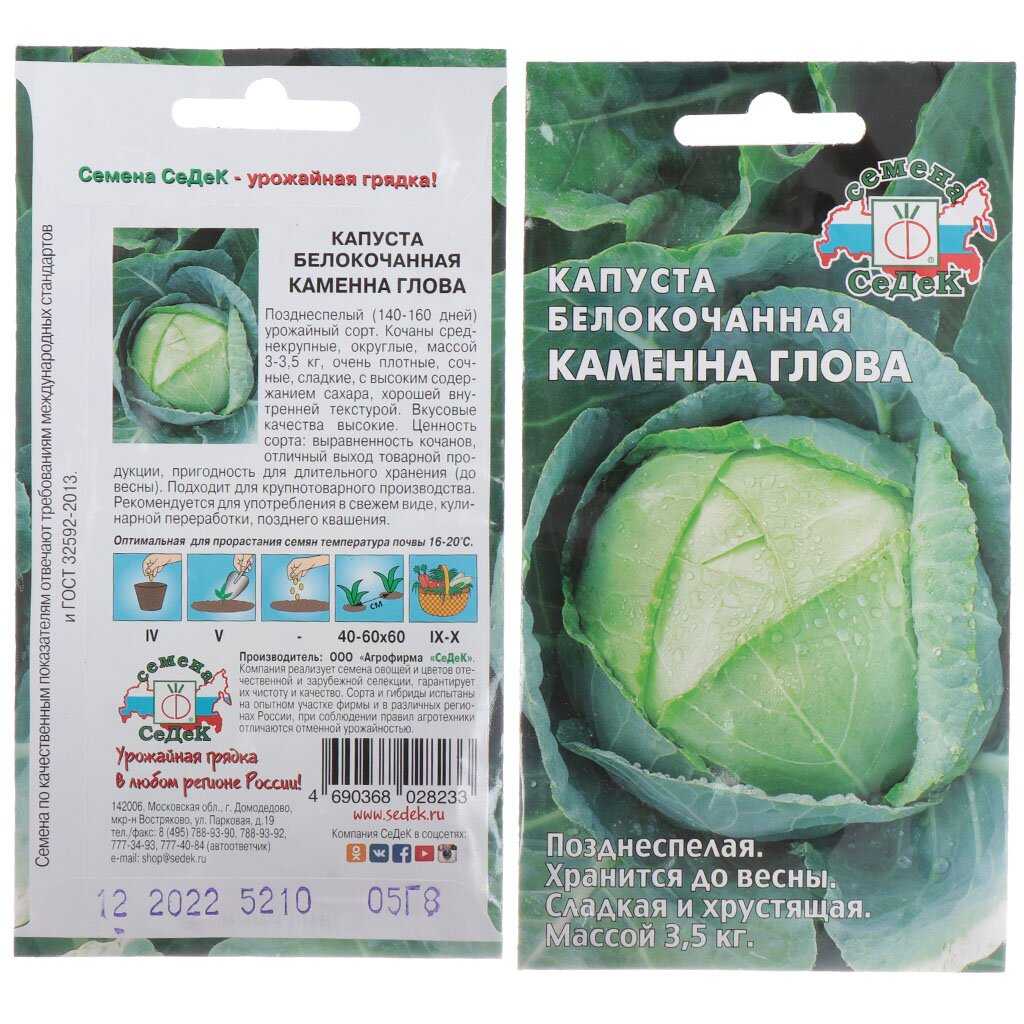 Капуста каменная голова: описание сорта, характеристика