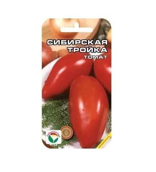 Томат сибирская тройка