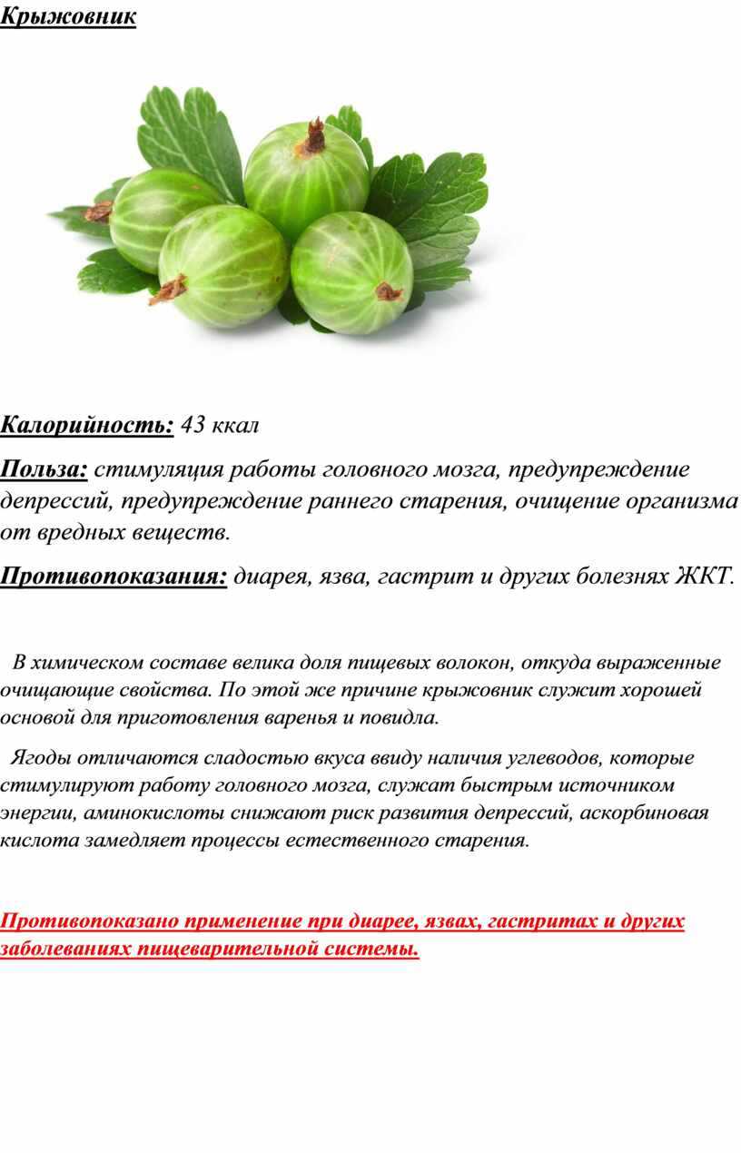 Крыжовник "берилл": описание сорта, фото, отзывы