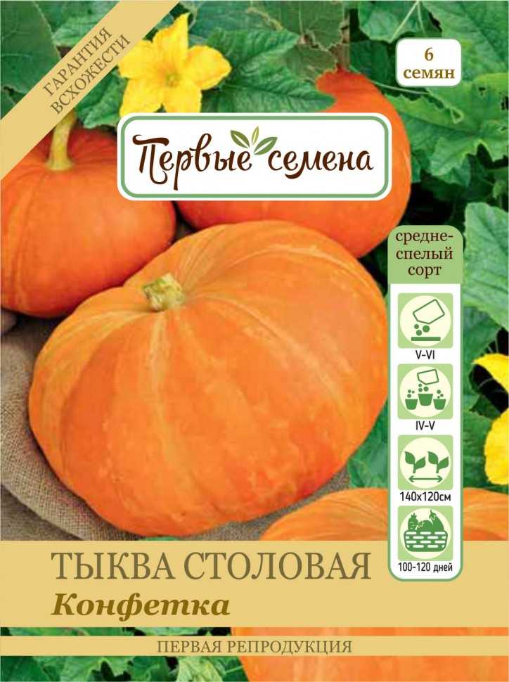 Как вырастить оранжевую красавицу — тыкву конфетку