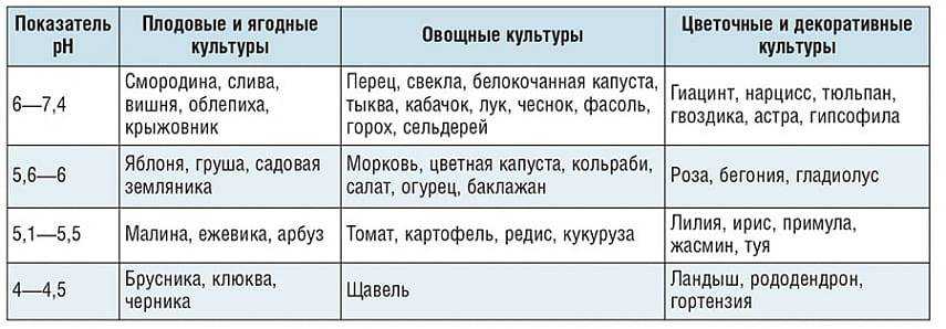 Какую почву любит малина: как выбрать нужный состав грунта, какую кислотность предпочитает куст - кислая или щелочная земля, и подготовка места под посадку