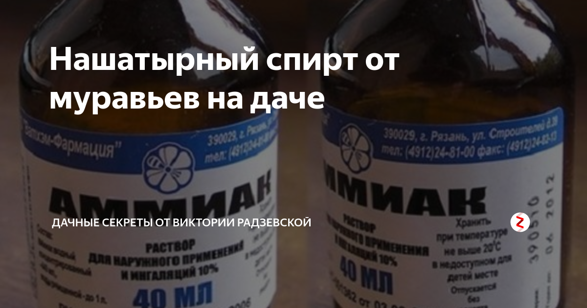 Нашатырный спирт от муравьев и тли на огороде