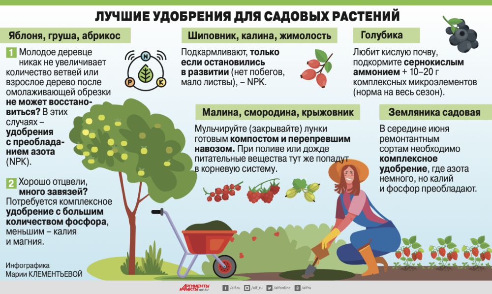 Топ-25 предметов из садового инвентаря и инструментов для огорода