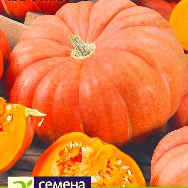 Тыква медовая гитара отзывы - с огорода