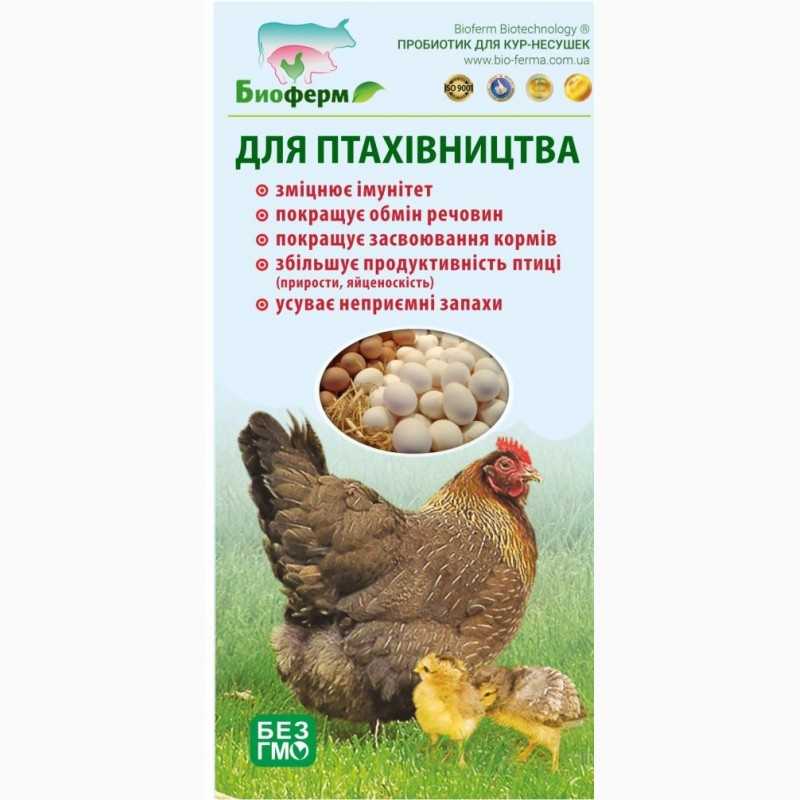 О пробиотиках для бройлеров рост, бест, богданович, старт, пурина стартер