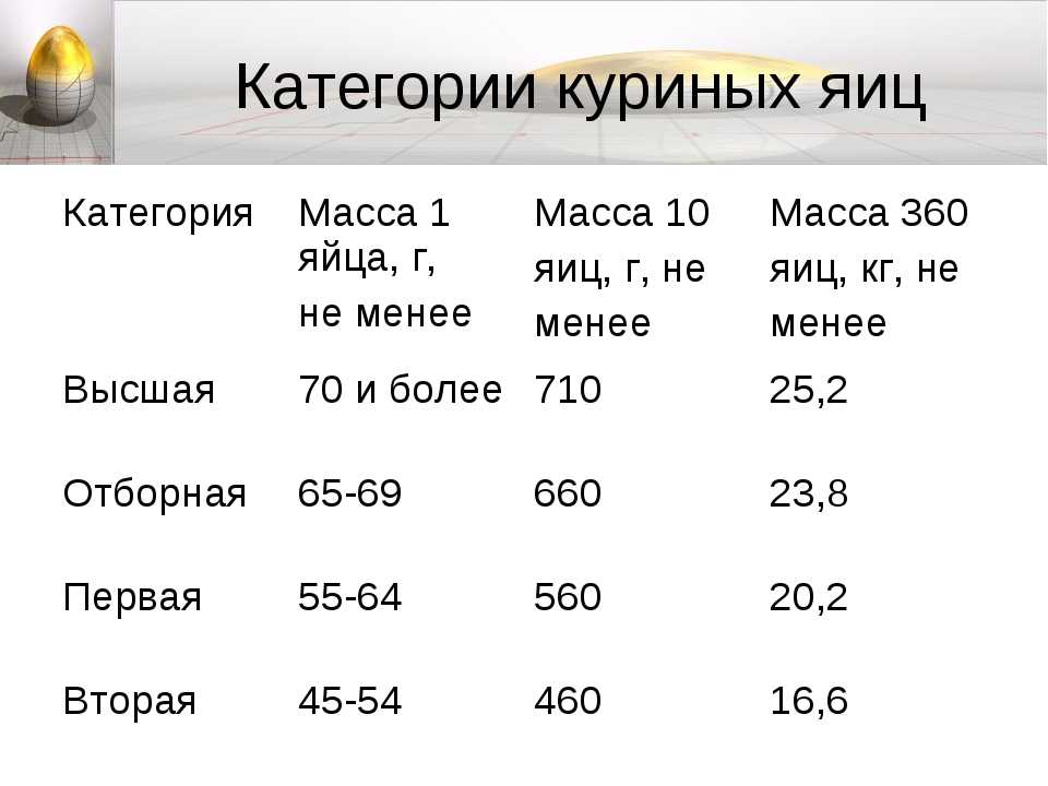 Сколько граммов весит куриное яйцо: без скорлупы, сырое, варёное вкрутую и всмятку, вес желтка и белка, значение по категориям