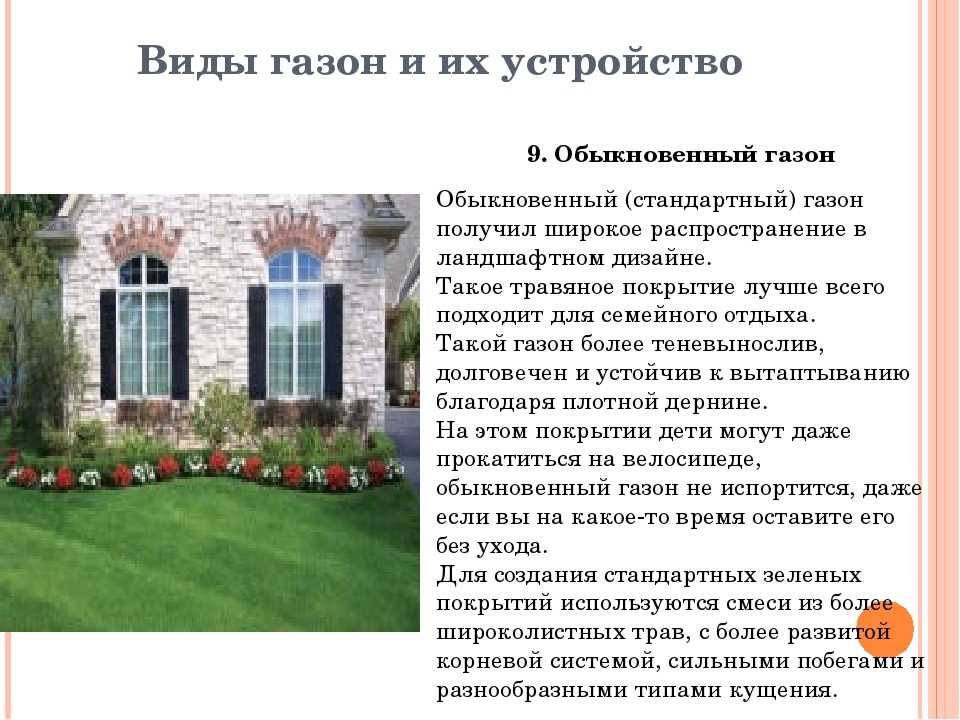 Как сделать газон на даче своими руками: подготовка территории, разметка, выбор семян, уход