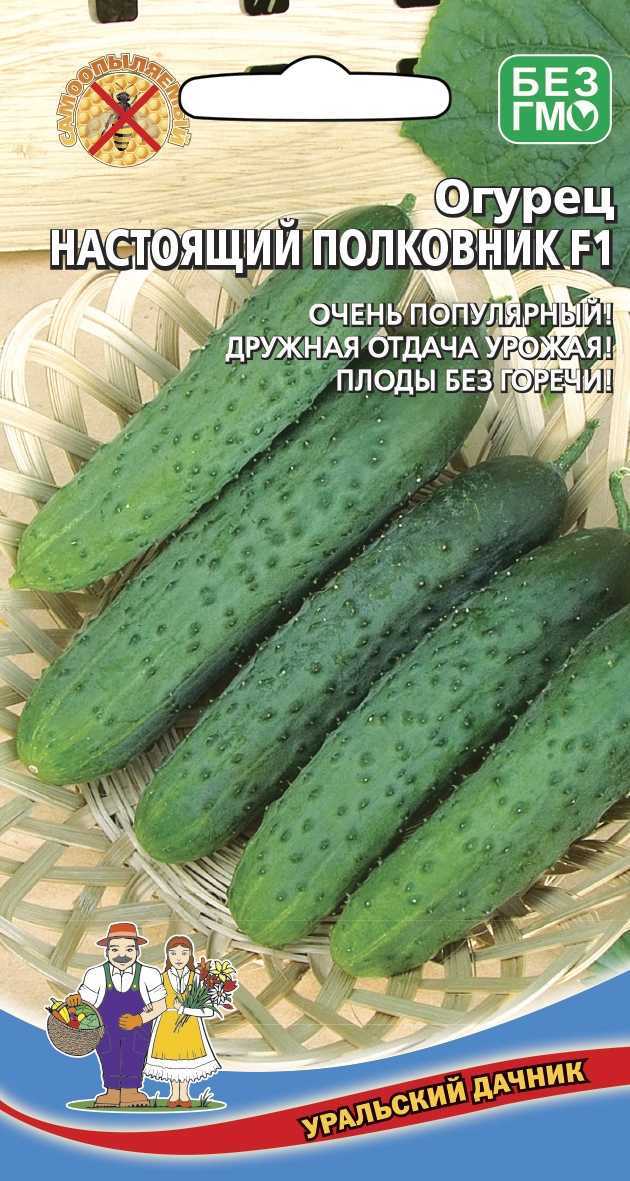 Огурцы настоящий полковник f1: описание сорта, фото, отзывы садоводов