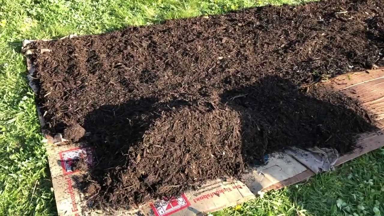 Способы посадки картошки без применения лопаты