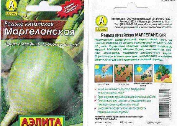 Сорта редьки: полный обзор – выбирайте лучшее!
