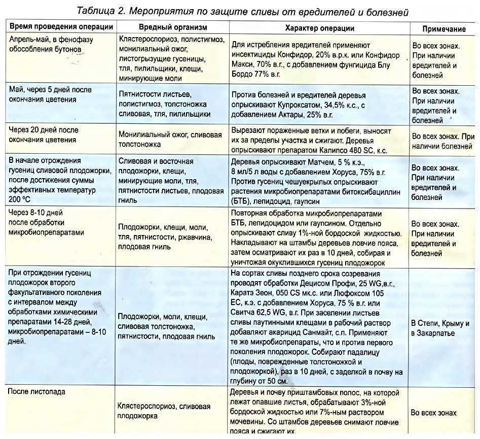 Обработка яблонь от вредителей и от болезней: что нужно знать садоводу