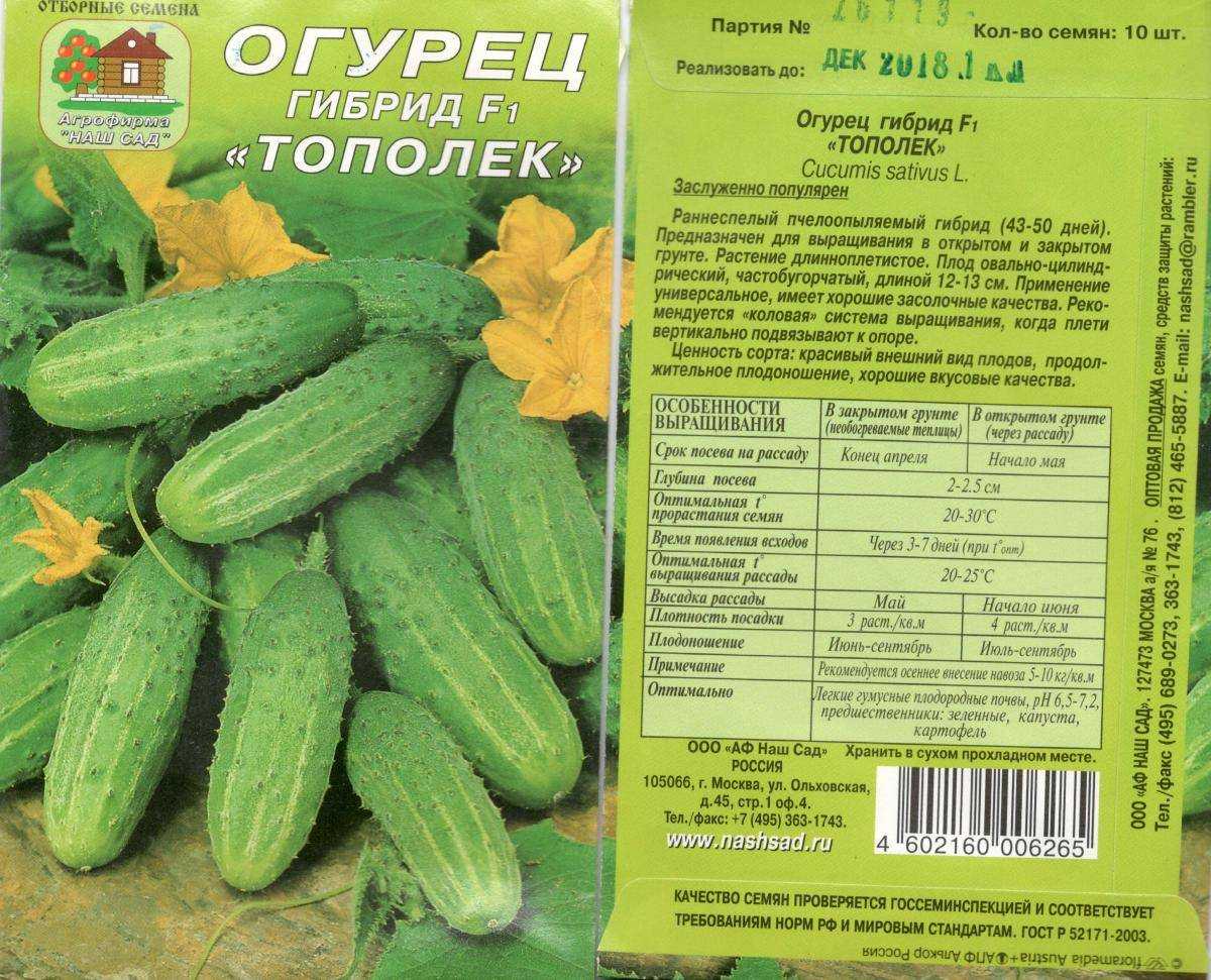 Огурец гуннар f1: характеристика и описание гибридного сорта с фото