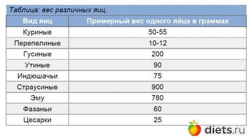Сколько времени формируется яйцо у курицы