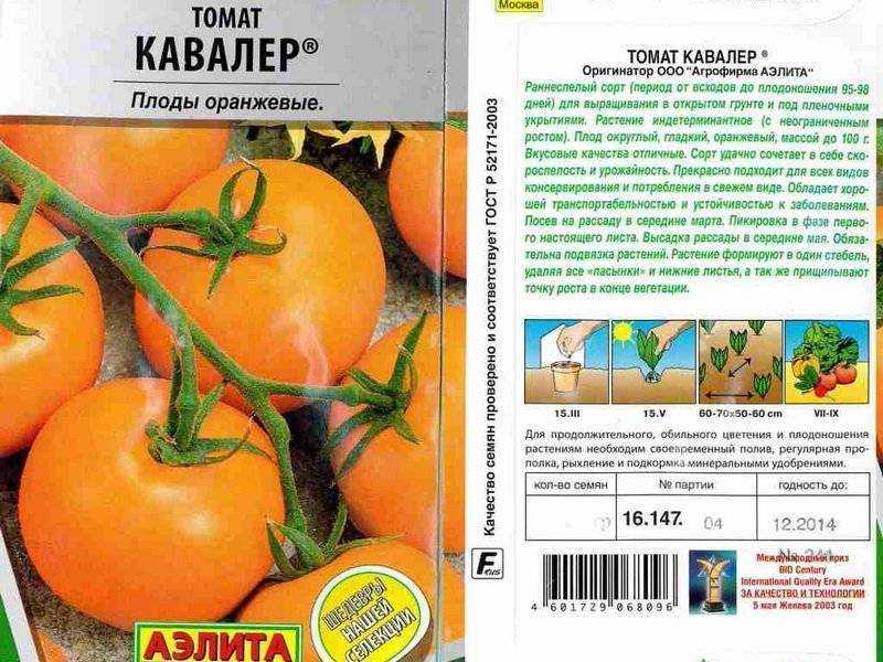 Сорт томата оранжевый гигант: описание, характеристики, урожайность