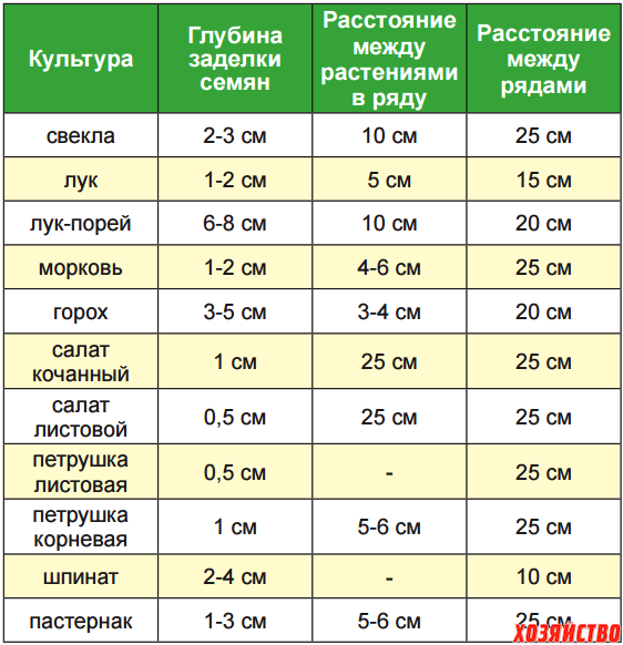 Выращивание моркови в открытом грунте: как сажать и не прореживать, секреты + видео
