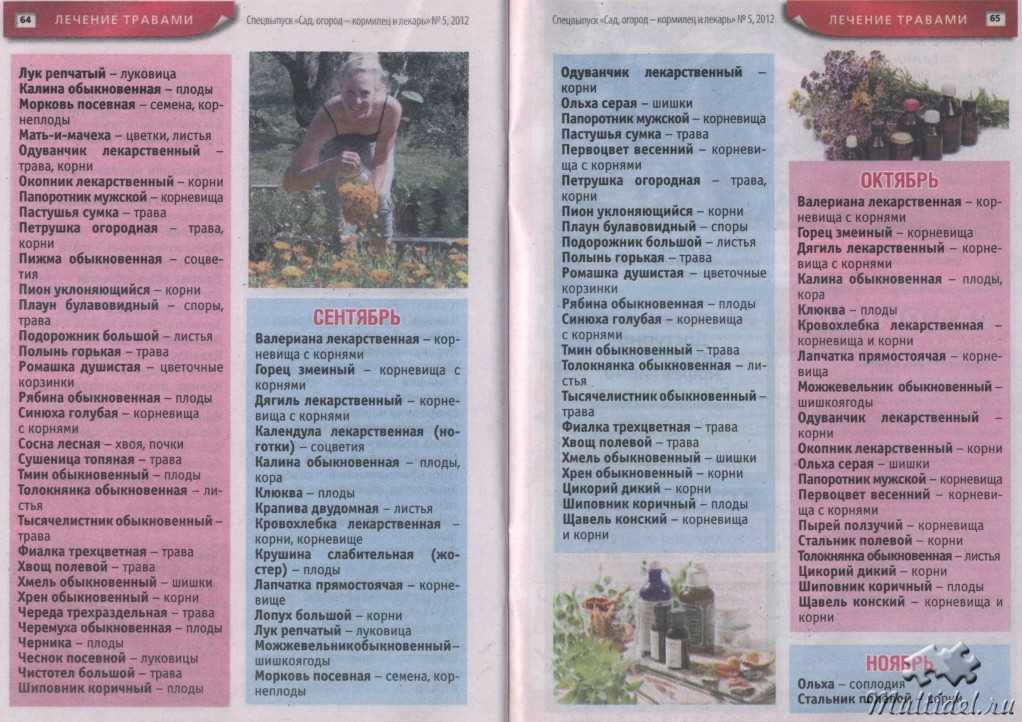 Сбор лекарственных растений