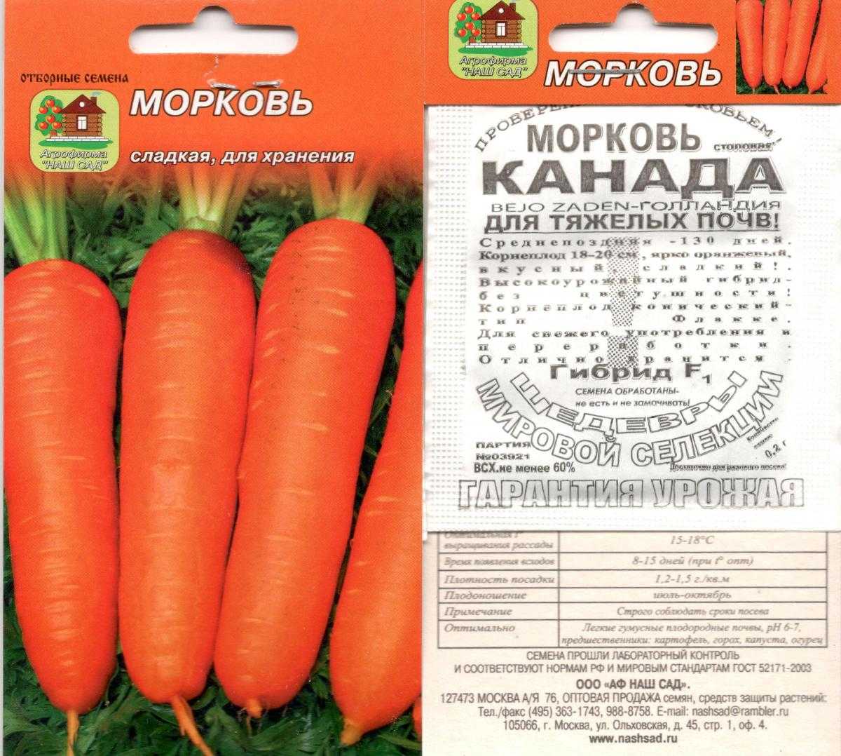 Перечень сортов моркови, предназначенных для длительного хранения