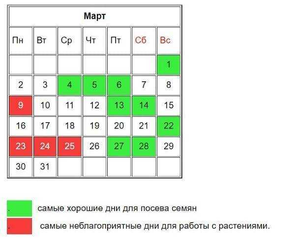 Благоприятные дни для пикировки томатов в апреле 2021 года