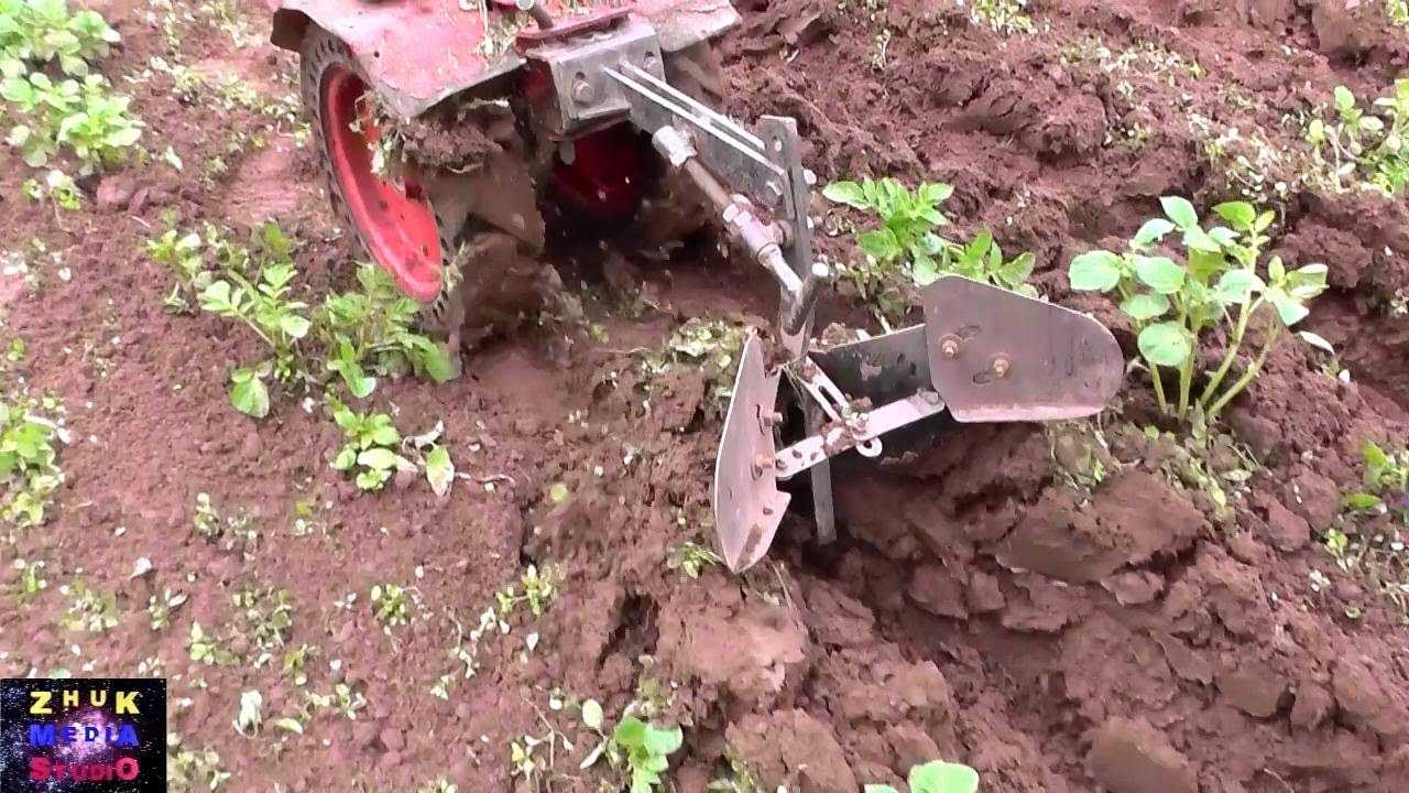 Как посадить картофель без лопаты