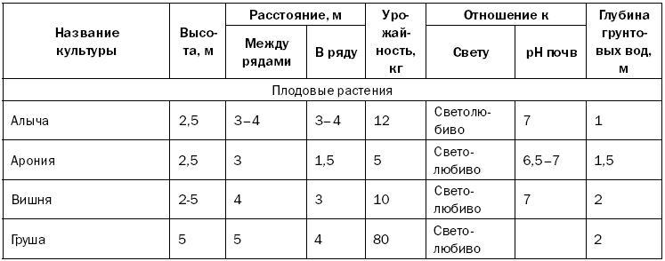 Грядка под малину, как готовить. подготовка грядки и почвы под малину