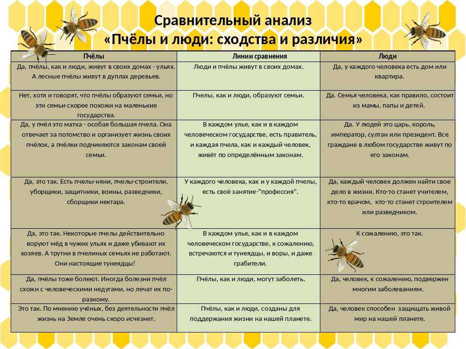Объединение пчелосемей через газету и по сходням.