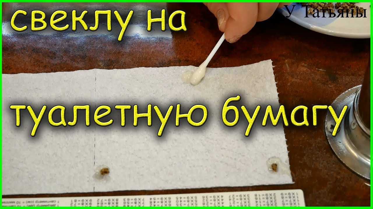 Редис на ленте своими руками. как наклеить семена моркови на бумажные ленты.