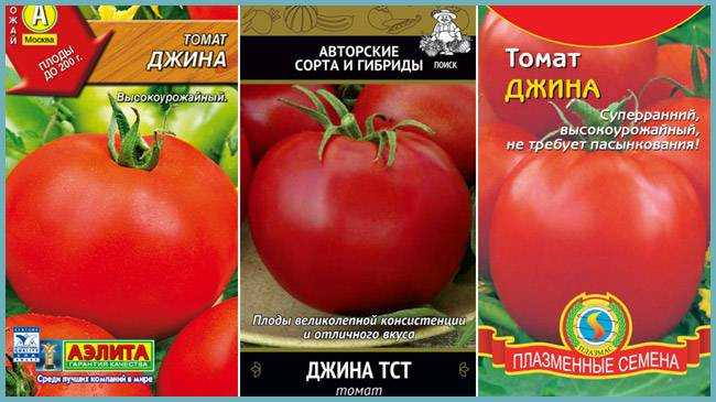 Томат «джина»: характеристика с фото и отзывы