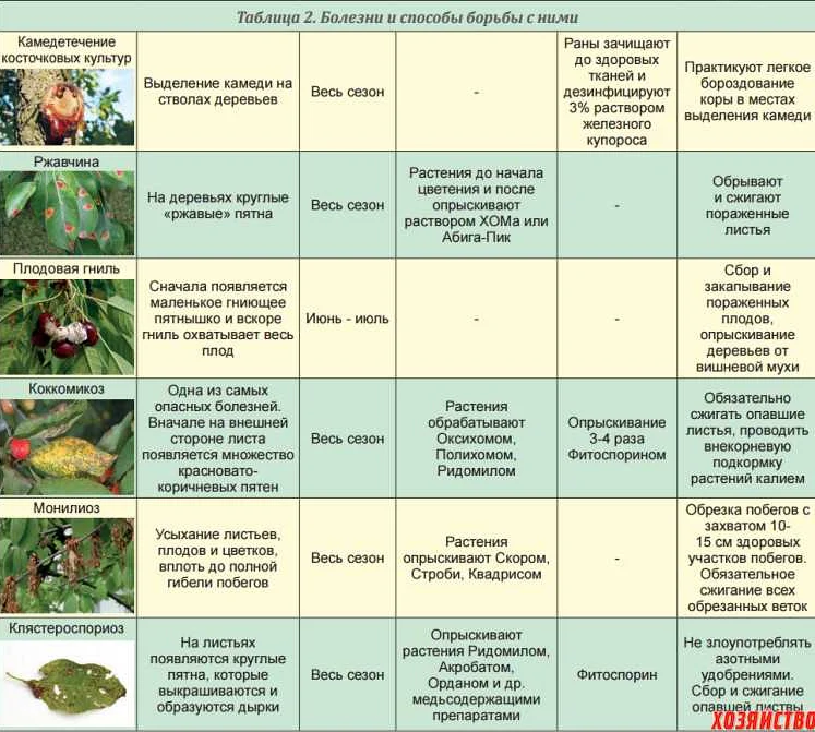 Болезни и вредители гортензии: метельчатой, крупнолистной, древовидной, комнатной, чем обработать, как бороться, уход, видео