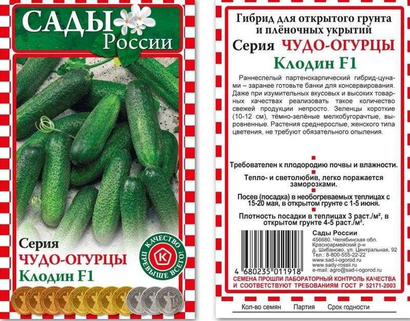 Огурец клодин f1: описание сорта, фото, отзывы, урожайность