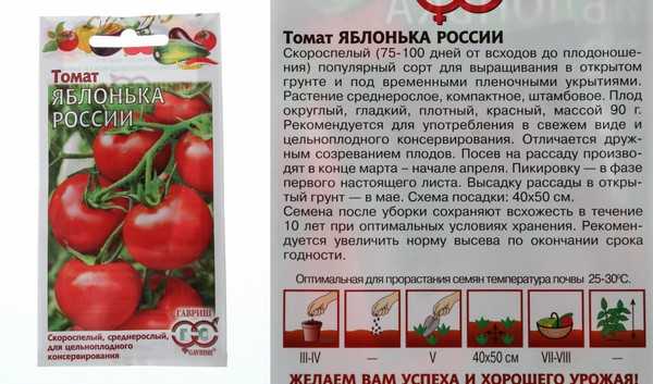Как вырастить томат яблонька россии