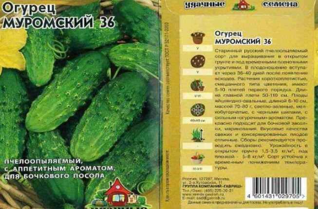 Огурец «дальневосточный 27»: описание сорта, фото и отзывы