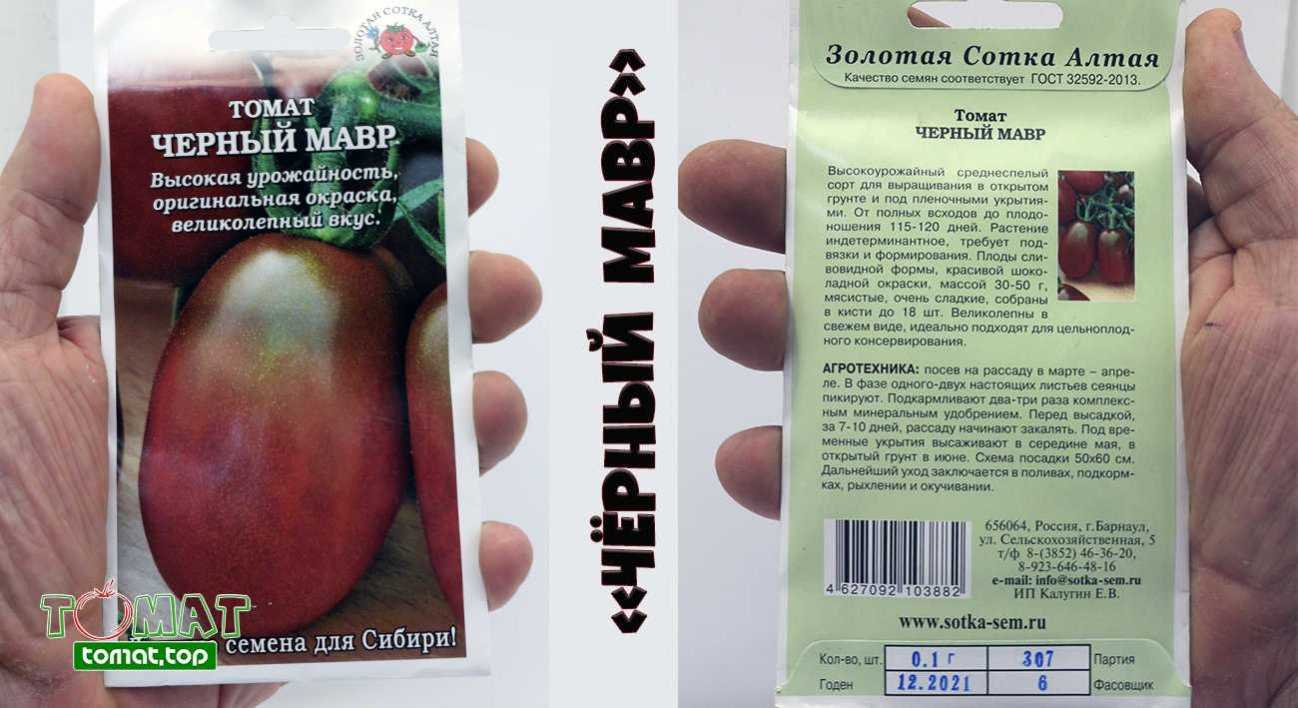 Томат "черный мавр": описание и характеристика сорта