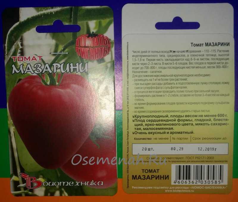 О томате Мазарини: описание и характеристики сорта, уход и выращивание