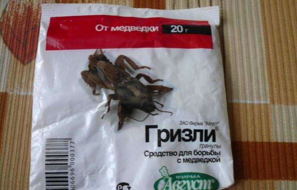 Как победить медведку на участке? профилактика, ловушки, народные методы и препараты
