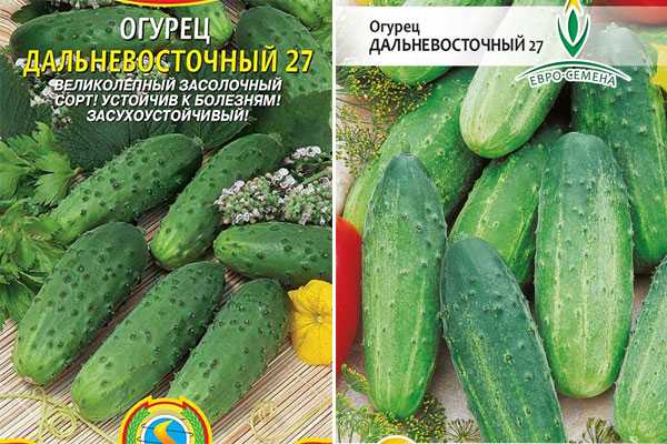 Огурец дальневосточный 27: описание сорта, отзывы, фото